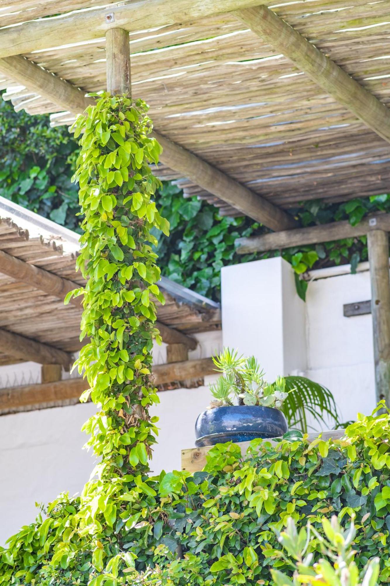 Clifton Sunset - Family Home Cidade Do Cabo Exterior foto